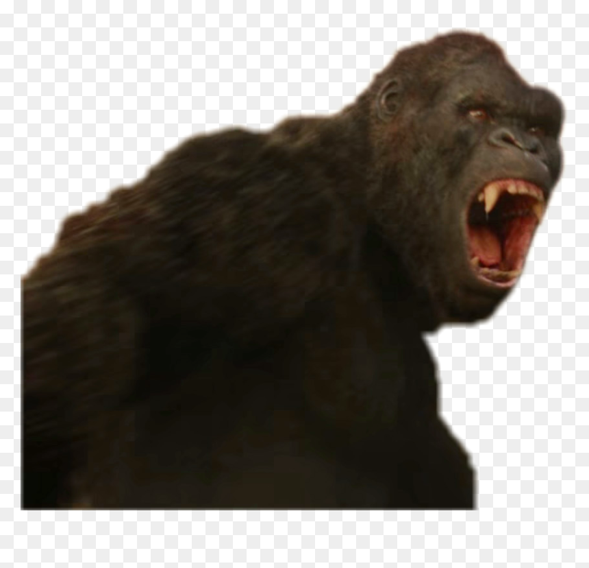 Kong Skull Island Png, Transparent Png - evil skull and crossbones png