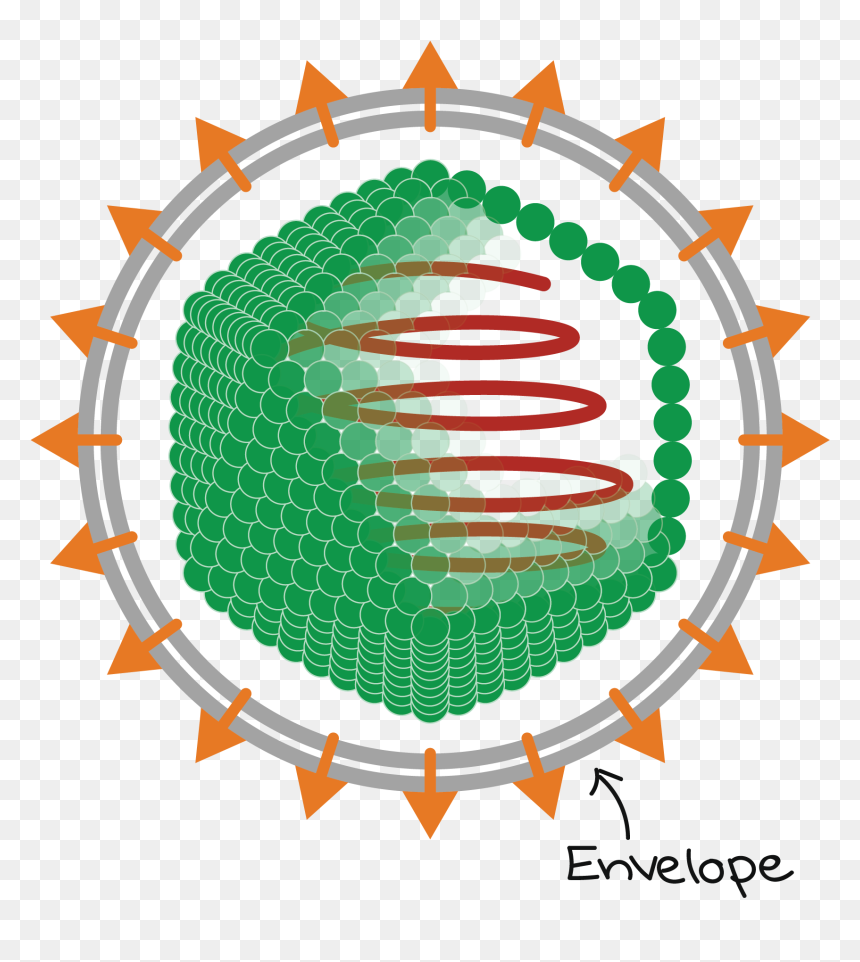 Icosahedral Enveloped Virus, HD Png Download - icosahedron png