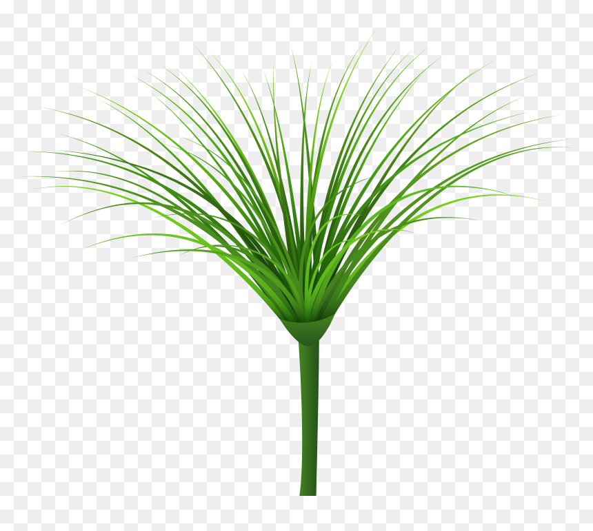 Green Leaf Png Clip, Transparent Png - tropical island png