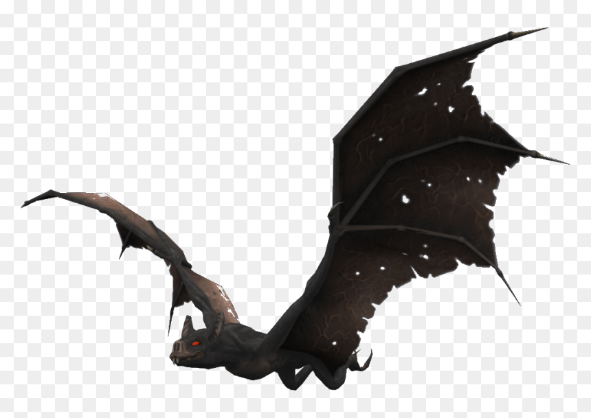 Transparent Vampire Bat Clipart - Giant Bat, HD Png Download - bat.png
