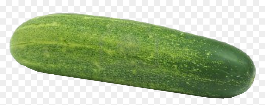 Winter-melon - Cucumber Png, Transparent Png - cucumbers png