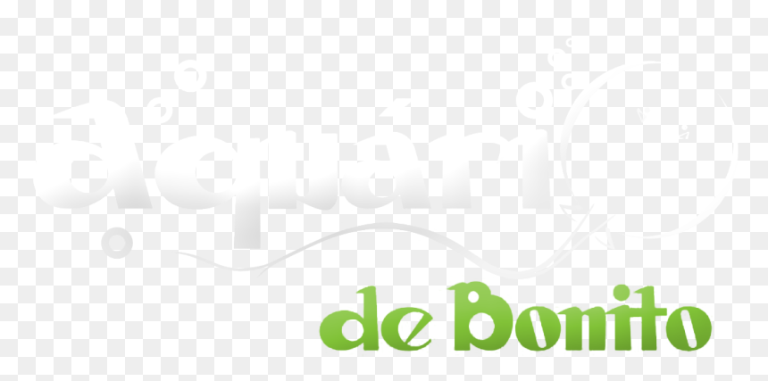 Bonito Ms - Canon, HD Png Download - wix png
