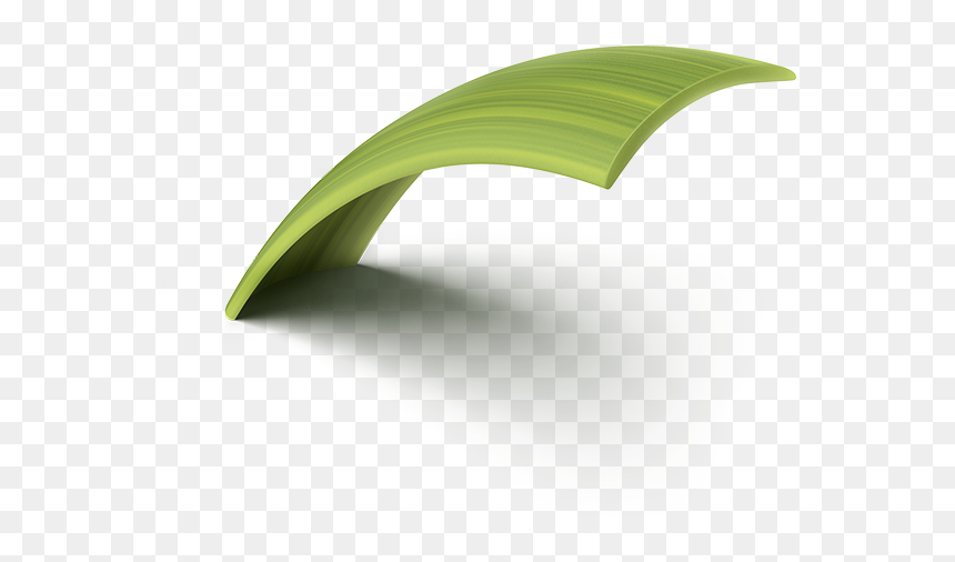Sweet Grass, HD Png Download - grass blade texture png