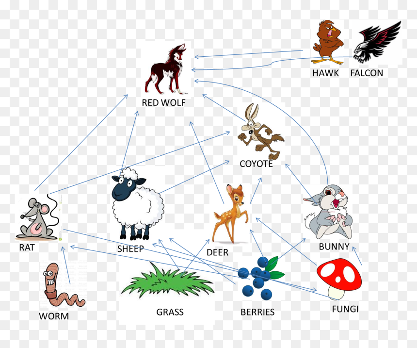 - Red Wolf Food Chain , Png Download - Food Chain Images Hd, Transparent Png - red wolf png