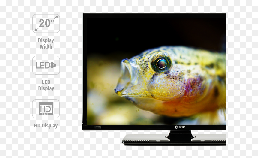 20d2t1 Ikonos Ir Dalis Tv - Bottom Feeder, HD Png Download - blank tv png