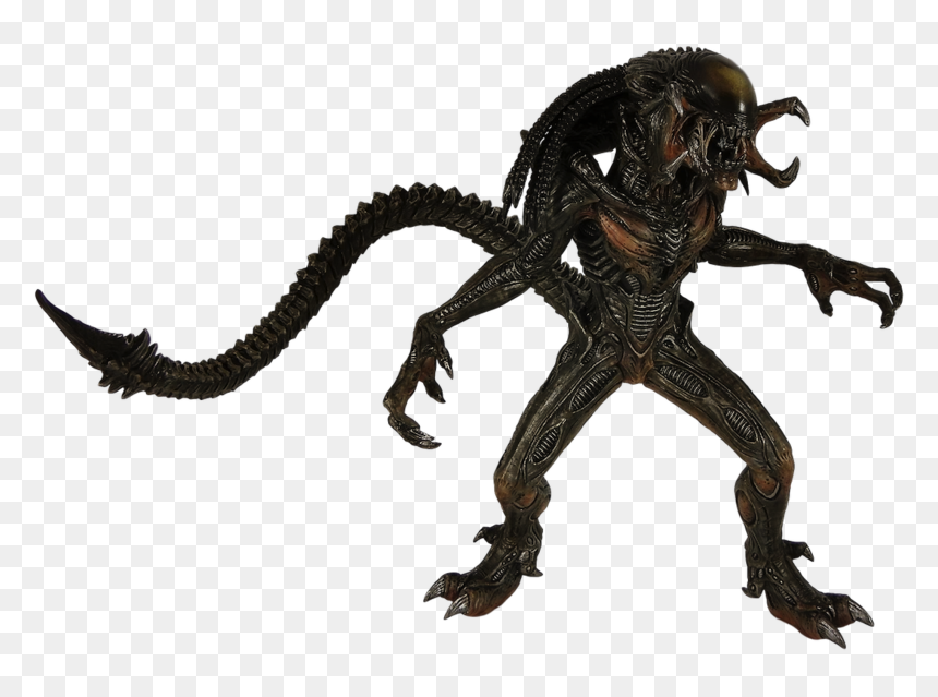 Predalien - Predalien Transparent, HD Png Download - facehugger png