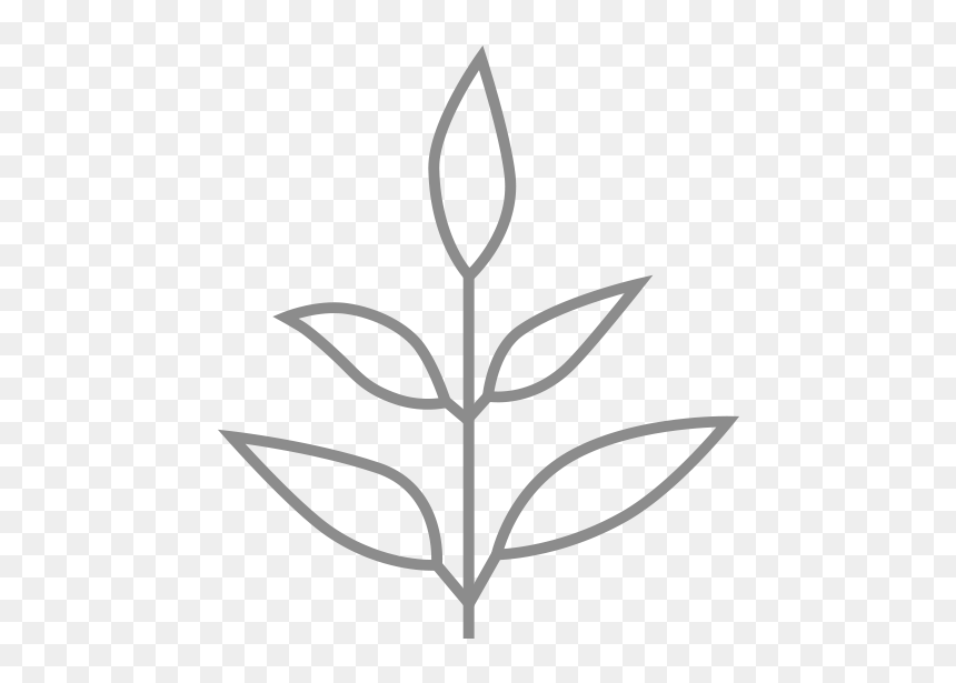 Livekindly Logo, HD Png Download - distress texture png