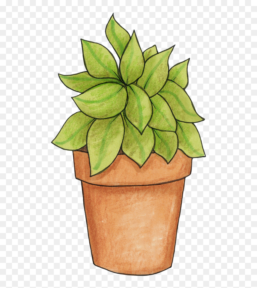 Pot Plant Clip Art, HD Png Download - plant.png