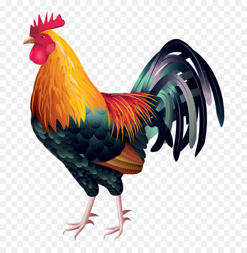 Rooster Watercolor Paintings - Free Clip Art Rooster, HD Png Download - paintings png