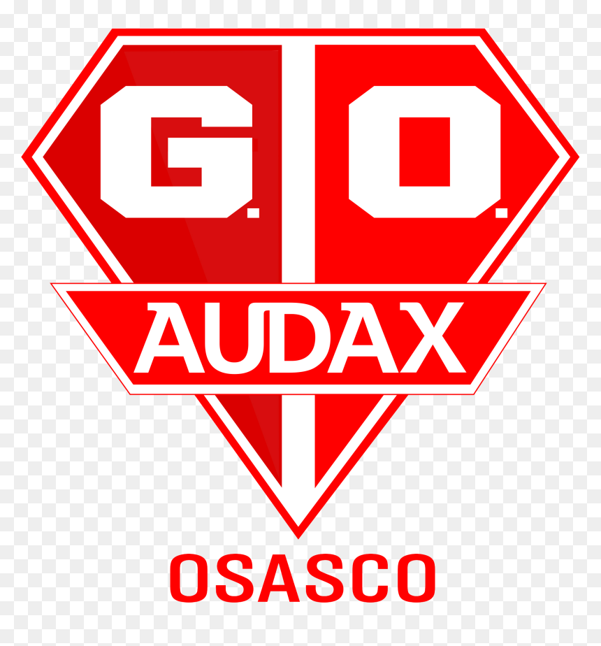 Grêmio Osasco Audax Esporte Clube, HD Png Download - palmeiras png