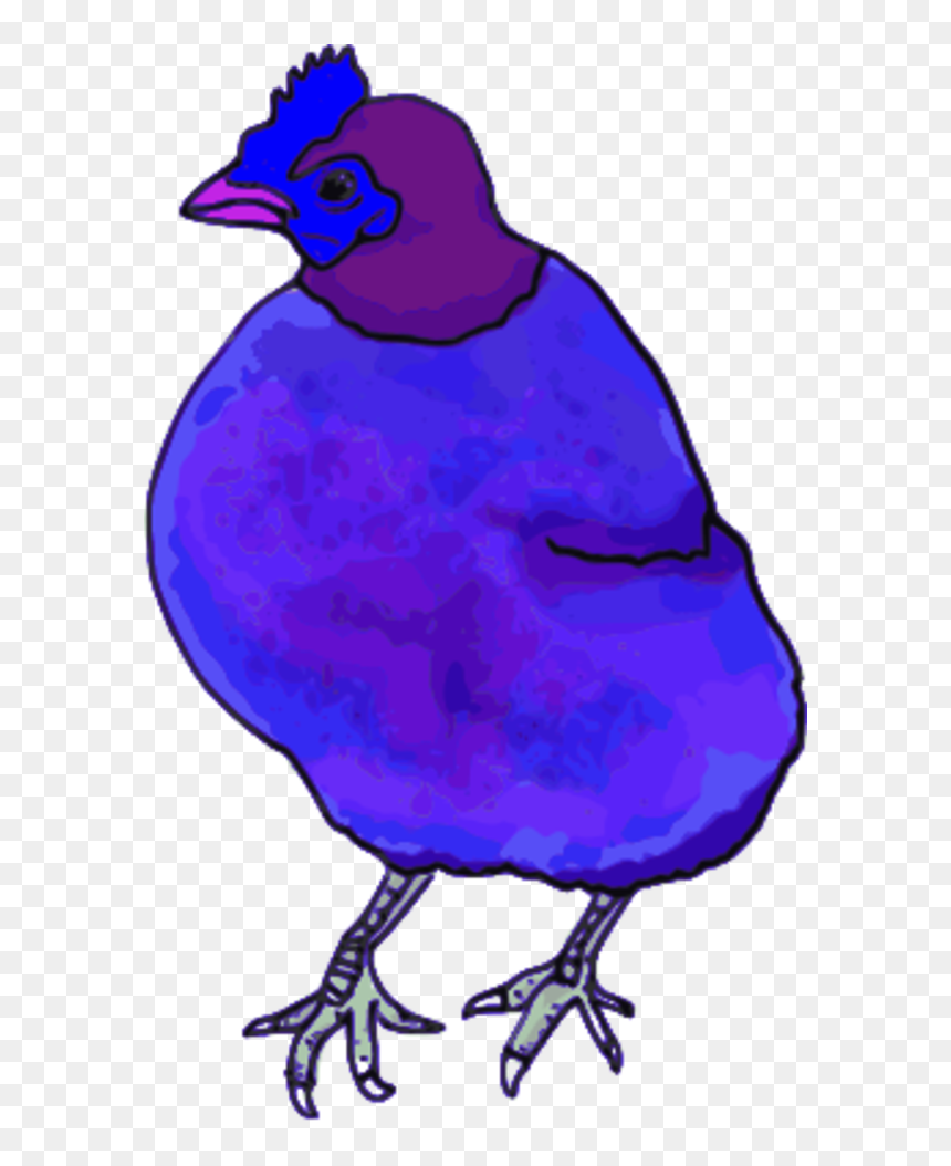 Vector Clip Art - Pink Chicken Png, Transparent Png - chicken vector png