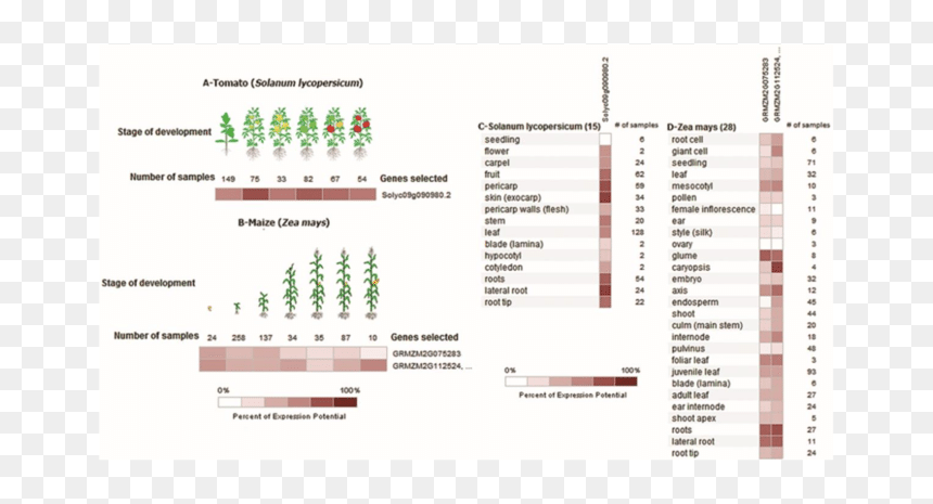 Screenshot, HD Png Download - gene png