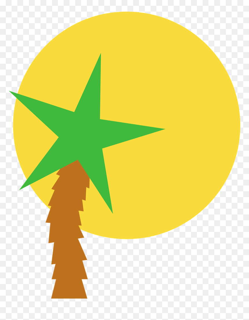 Sun Vector Png -sun Star Palm Summer Vector Png Image - Vector Verano, Transparent Png - sunrise vector png