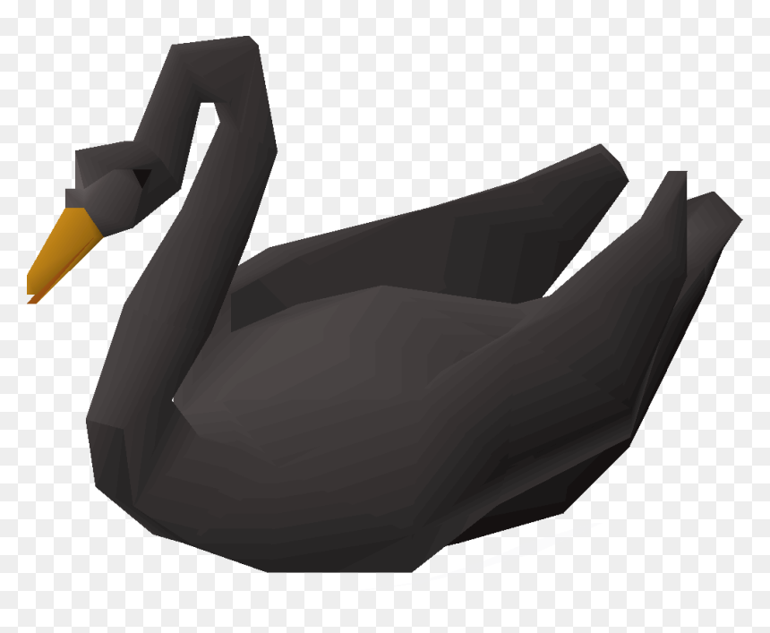 Duck, HD Png Download - black swan png