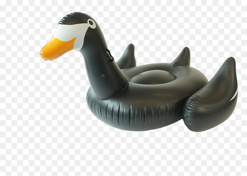 Goose, HD Png Download - black swan png