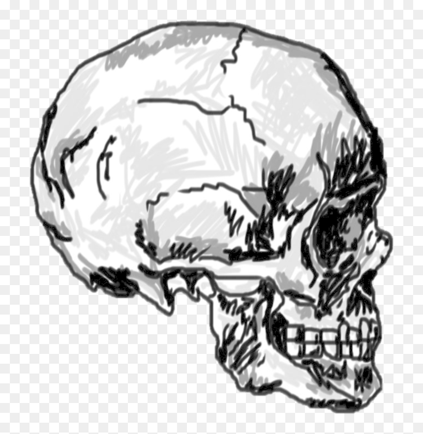 Transparent Skull Png Tumblr - Koponya Png, Png Download - tumblr white png
