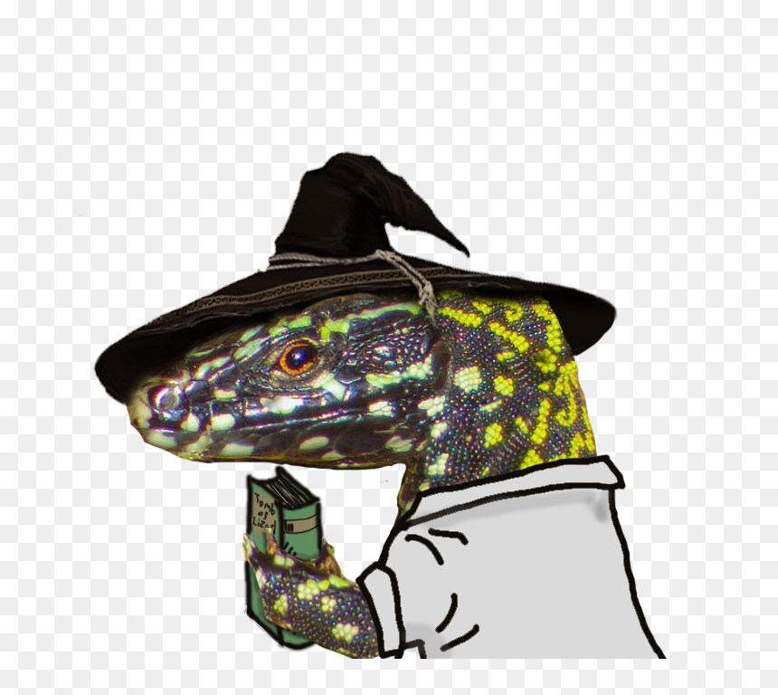 Illustration, HD Png Download - gator hat png