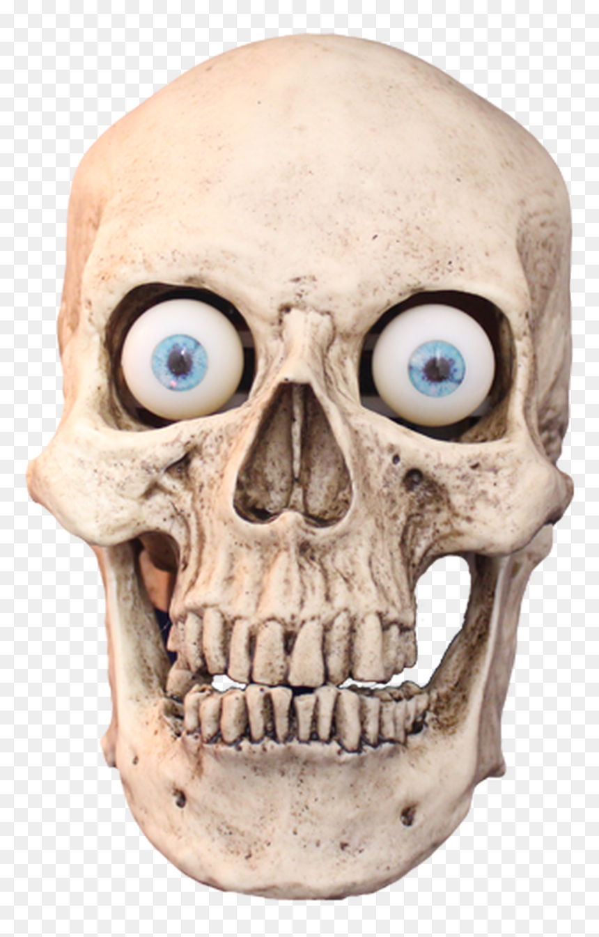 Standard Talking Skull - Talking Skull, HD Png Download - blue skull png