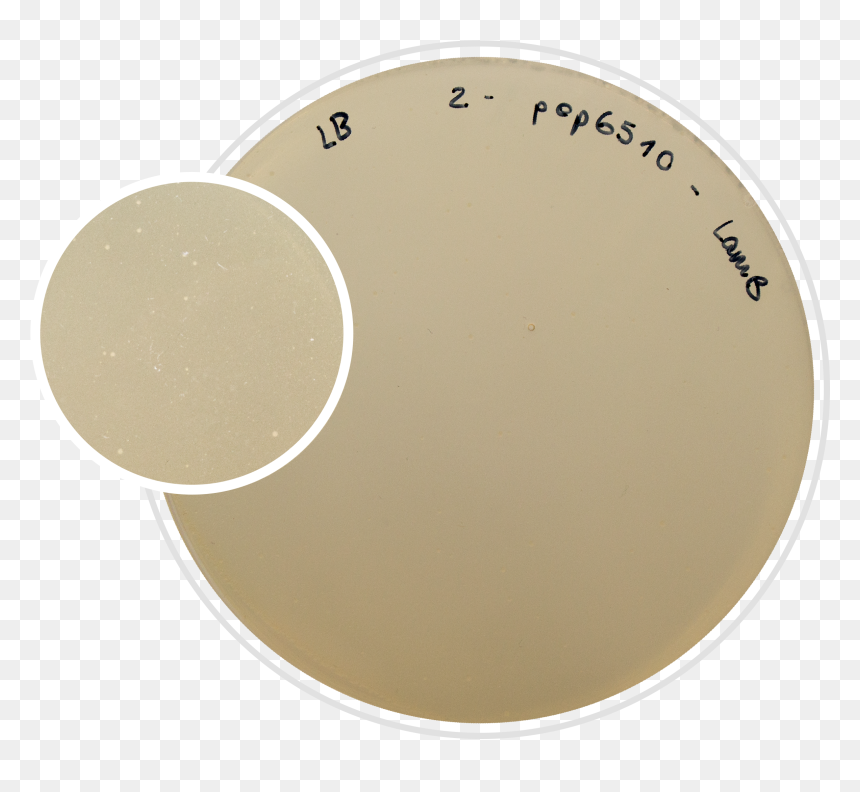 Nada, HD Png Download - toxic barrel png