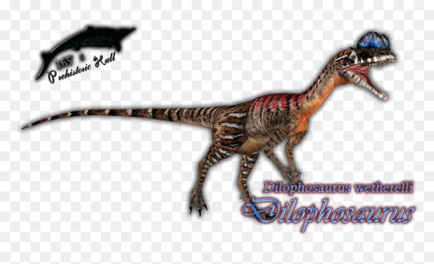 Lesothosaurus, HD Png Download - dilophosaurus png