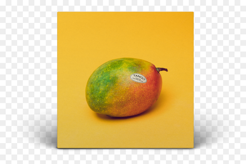 Stream Our New Album - Tangerine, HD Png Download - tangerine png