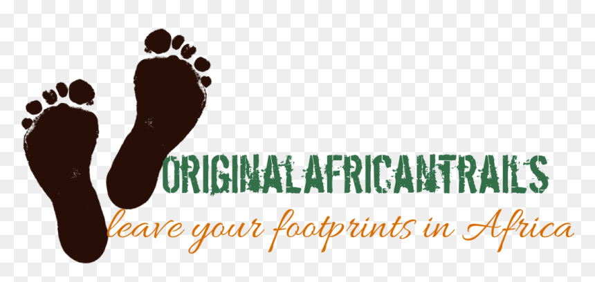Footprint Transparent Trail - Illustration, HD Png Download - marauders map footprints png