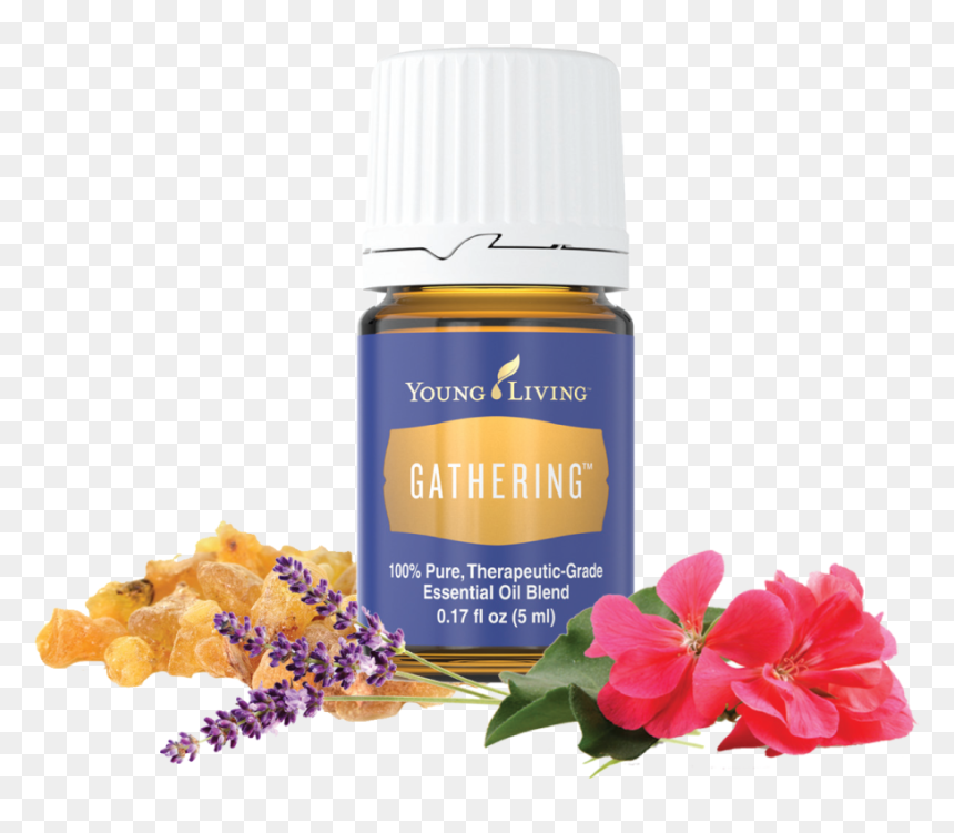 Purification 5ml Young Living, HD Png Download - young living png