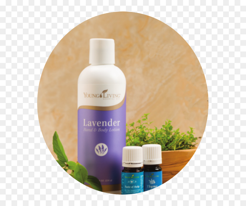 Cosmetics, HD Png Download - young living png