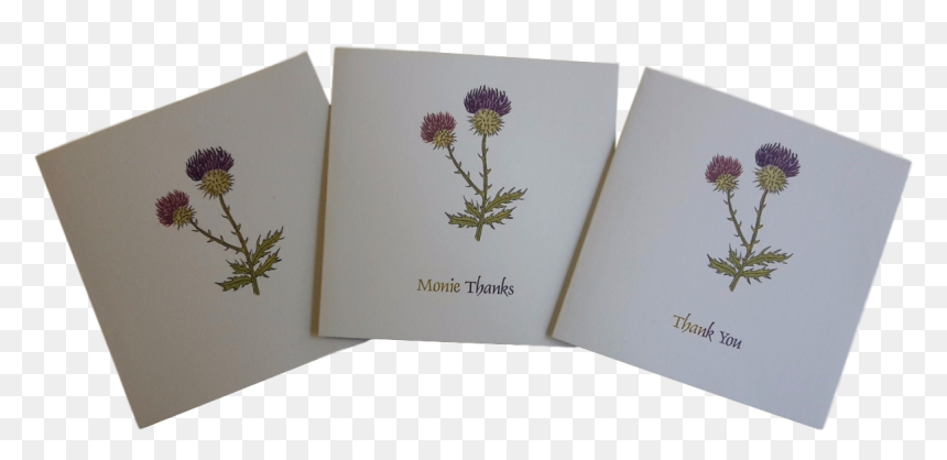 Scottish Thistle Thank You Note Cards Scots Language - Scottish Thank You Cards, HD Png Download - note card png