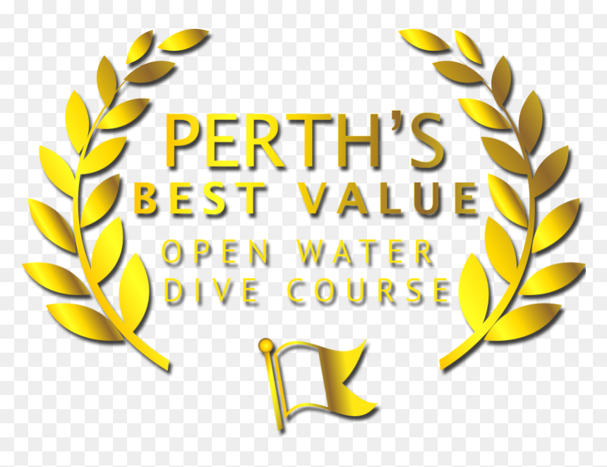 Best Value Dive Course Perth , Transparent Cartoons, HD Png Download - diving board png