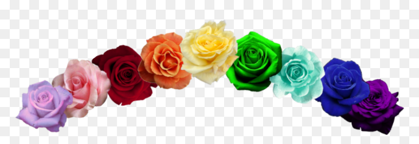 Garden Roses, HD Png Download - summer rae png