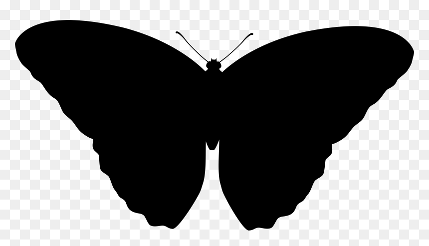 Brush Footed Butterflies Font - Moth Silhouette Transparent, HD Png Download - watercolor butterfly png