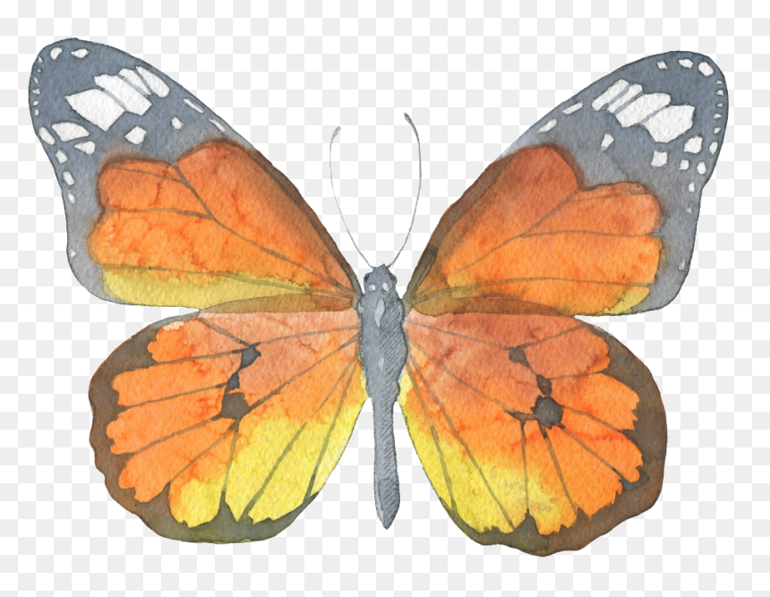 Brown Butterfly Watercolor Transparent Decorative Pattern - Watercolor Painting, HD Png Download - watercolor butterfly png