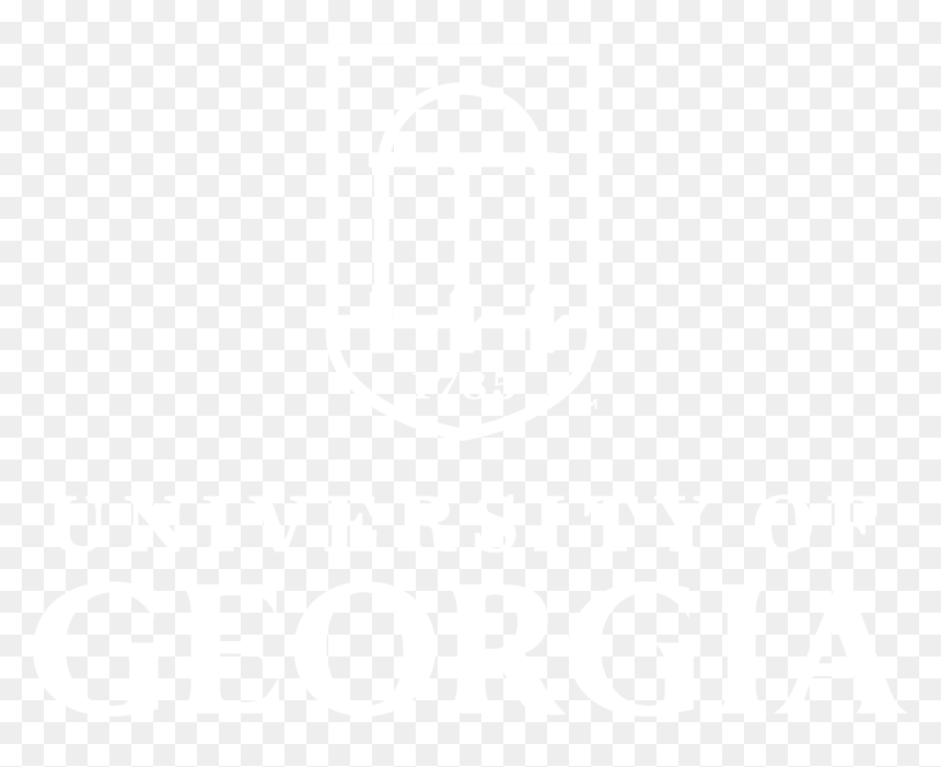 Transparent Arch Window Clipart - Poster, HD Png Download - arch window png