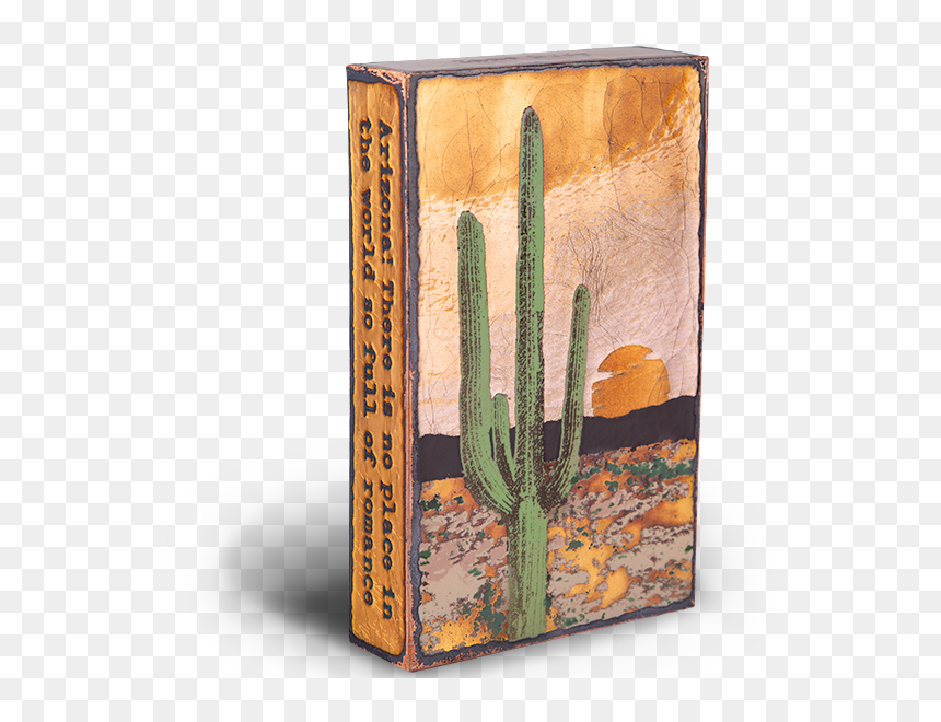 Saguaro, HD Png Download - saguaro png