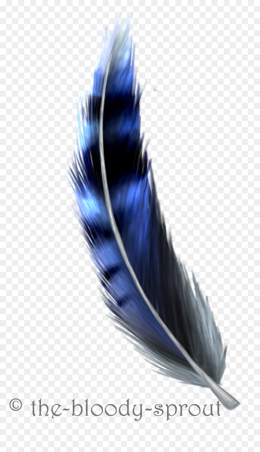 Blue Jay Feather Drawing, HD Png Download - blue feather png