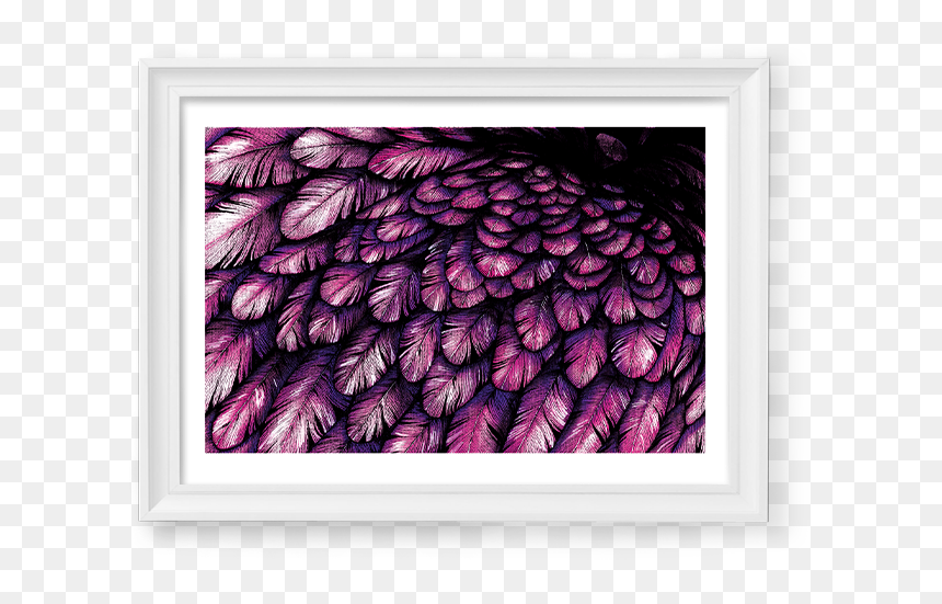 Image Of Pink / Blue Feathers - Picture Frame, HD Png Download - blue feather png