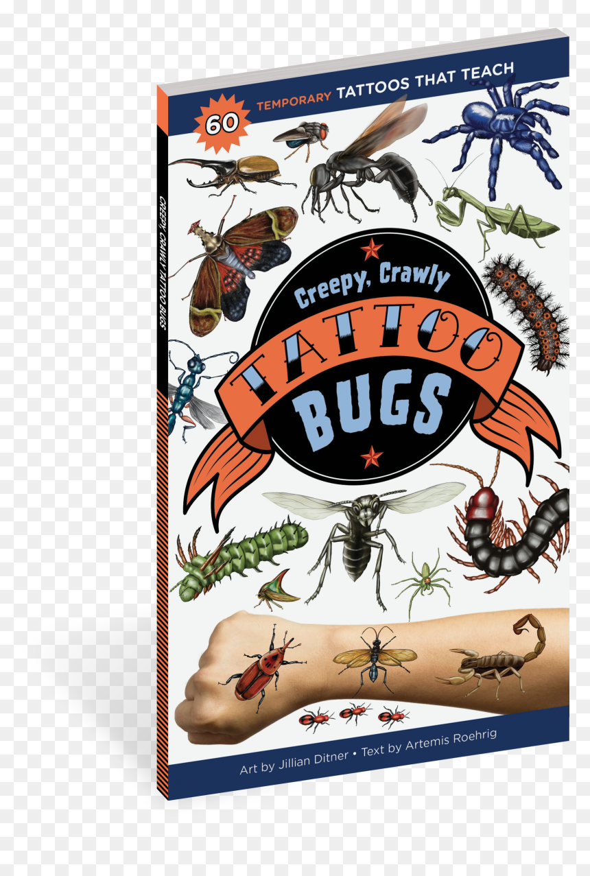 Cover - Creepy Crawl Sticker Book, HD Png Download - spider web tattoo png