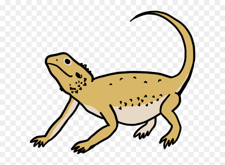 Bearded Dragon, HD Png Download - lizard tongue png