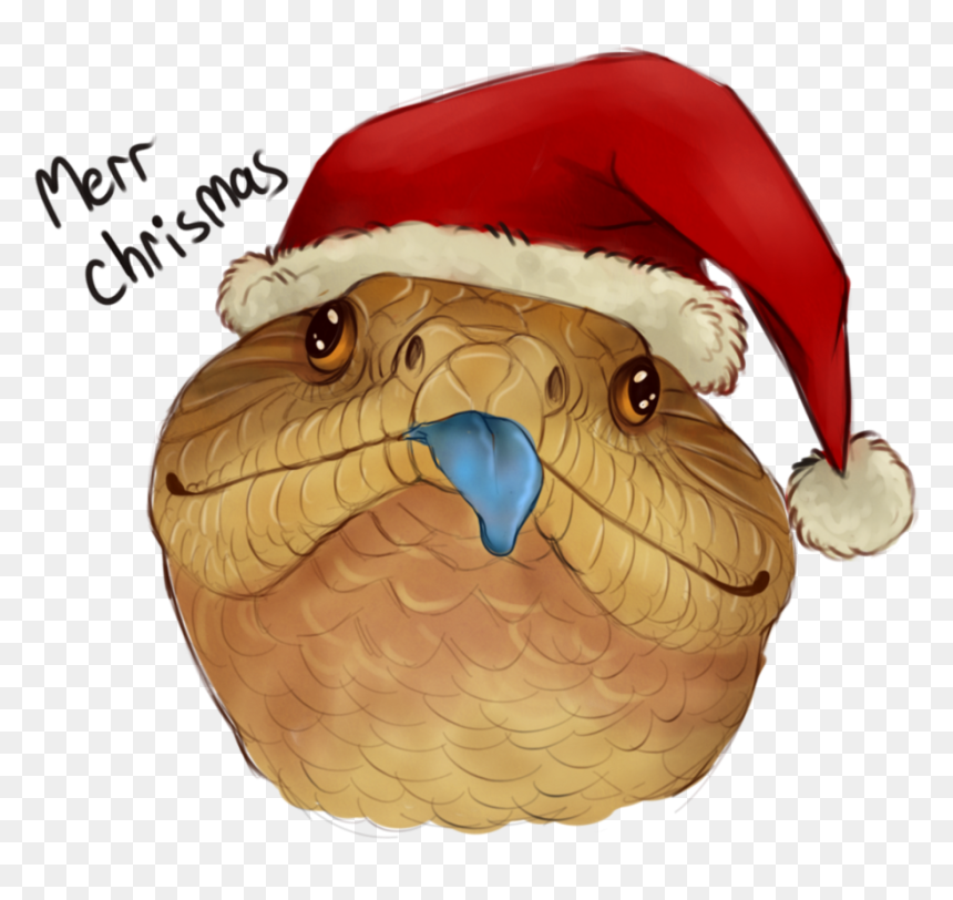 Chrismas Beak Owl - Blue Tongue Skink Drawing, HD Png Download - lizard tongue png