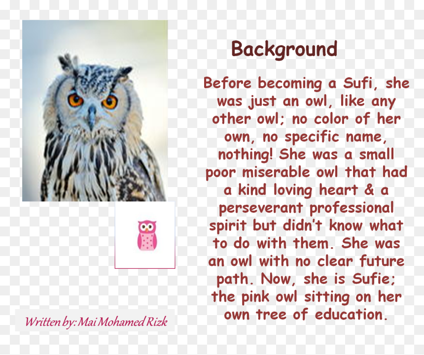 Snowy Owl, HD Png Download - pink owl png