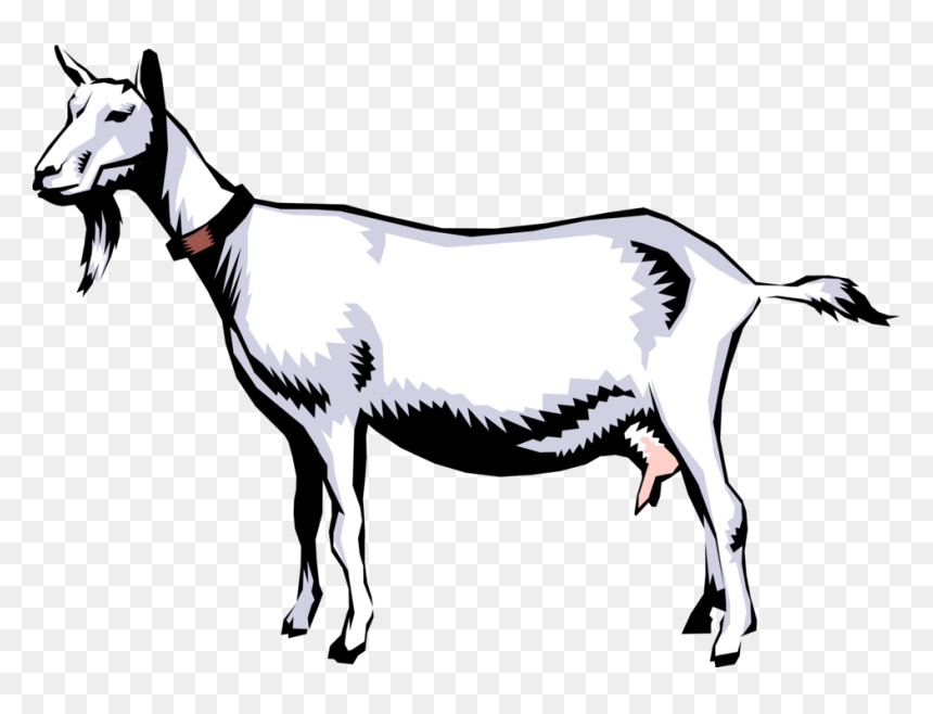 Vector Illustration Of Domestic Billy Goat Clipart - Goat Life Cycle, HD Png Download - goat clipart png