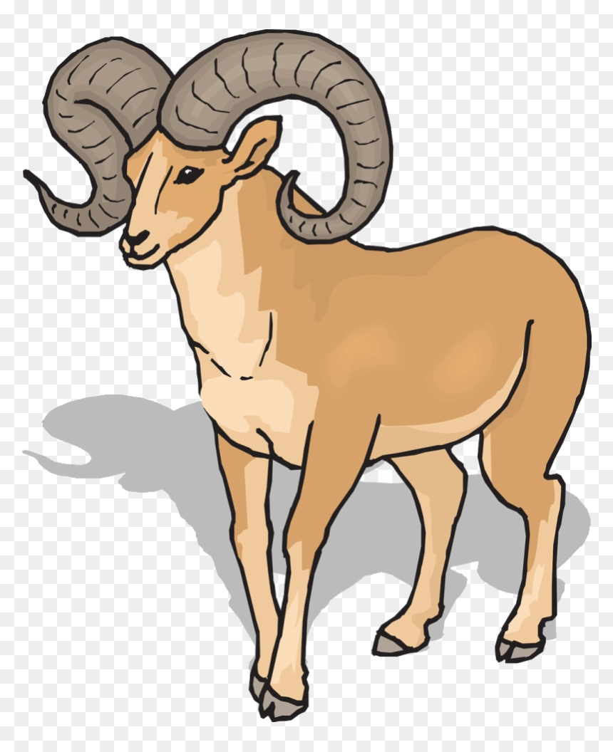 Goat Clipart Front Bighorn Sheep Transparent Png - Ram Clipart, Png Download - goat clipart png