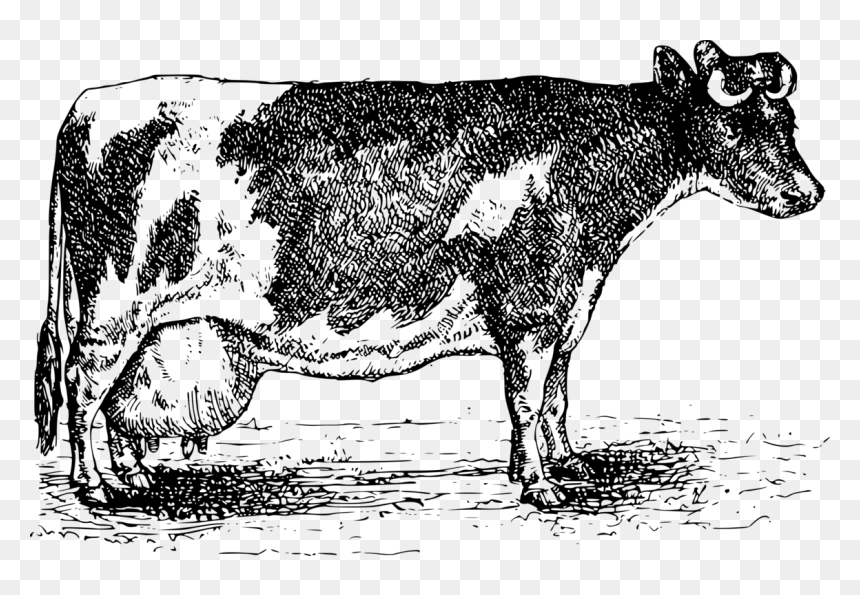 Livestock,monochrome Photography,horn - Roznice Miedzy Dominikanami A Franciszkanami, HD Png Download - goat clipart png