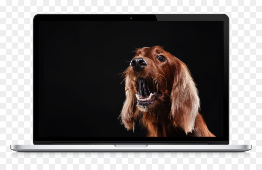 Dog, HD Png Download - dog barking png