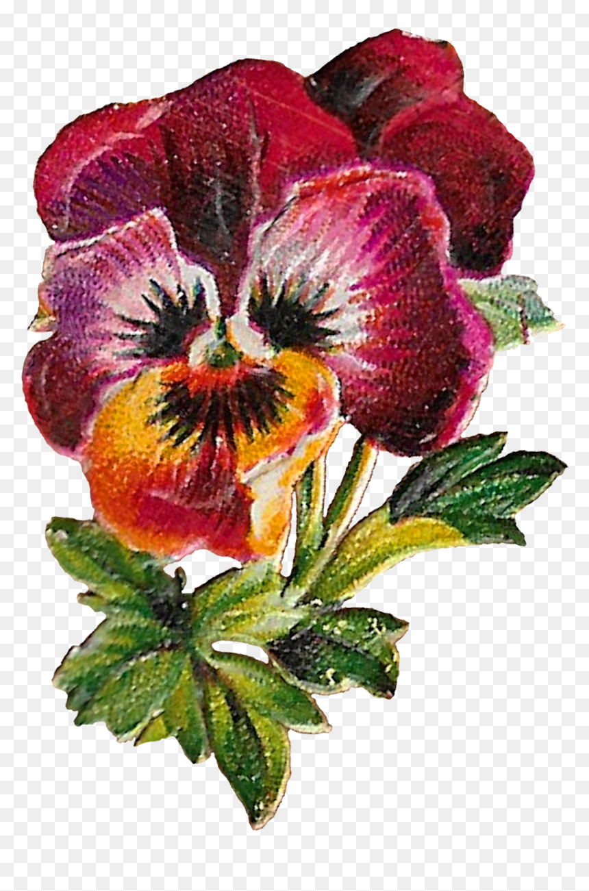 Floral Clipart Image Flower Pansy Purple Digital Download - Artificial Flower, HD Png Download - pansy png