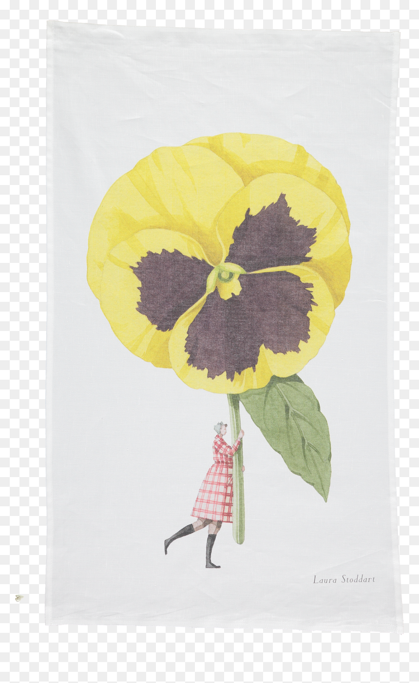 Pansy, HD Png Download - pansy png