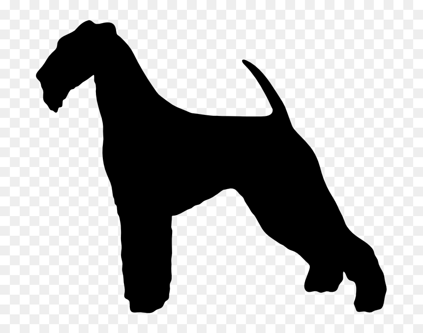 Miniature Schnauzer Dog Breed Airedale Terrier Otterhound - Airedale Terrier Silhouette, HD Png Download - schnauzer png