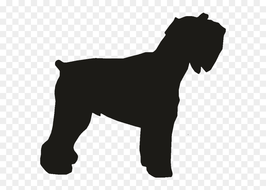 Miniature Schnauzer Dog Breed Rottweiler Dobermann - Dog, HD Png Download - schnauzer png