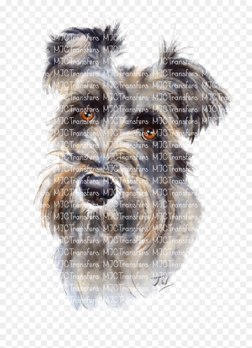 Miniature Schnauzer, HD Png Download - schnauzer png